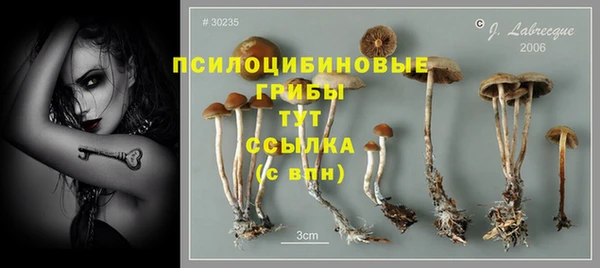 прущий лед Аркадак