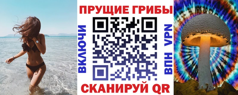купить  цена  Строитель  Псилоцибиновые грибы MAGIC MUSHROOMS 